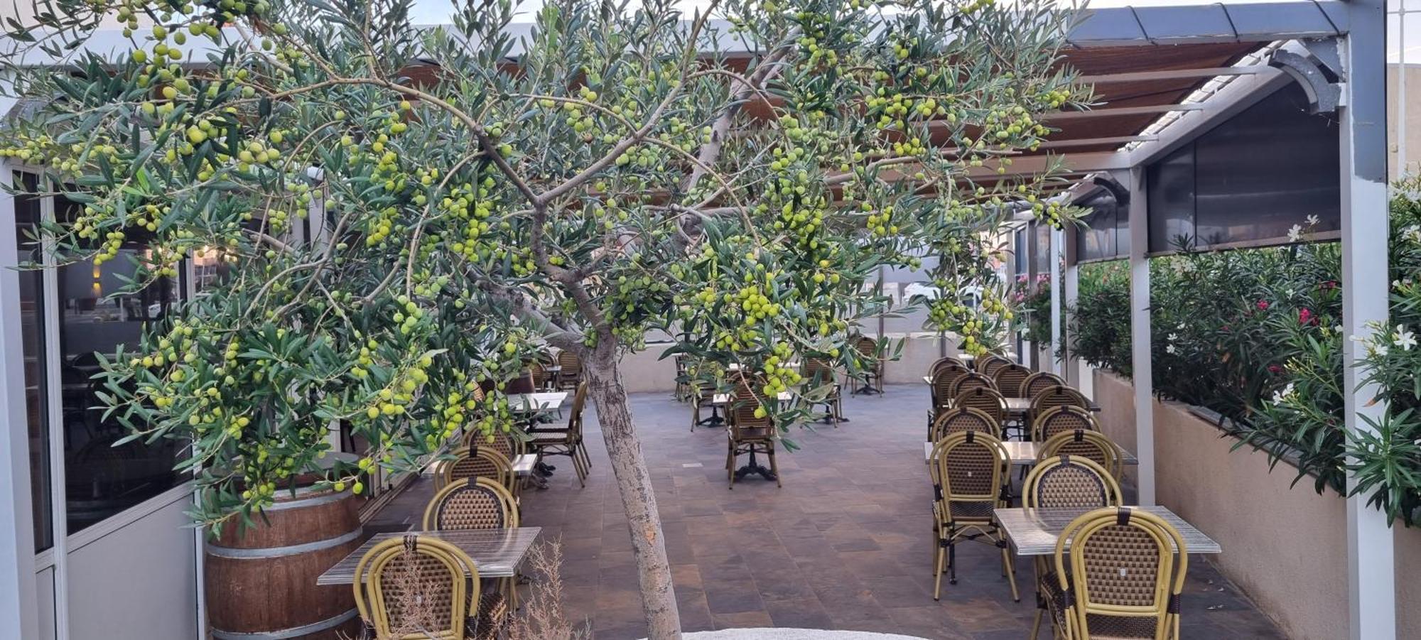 Hotel Restaurant Calypso Fos-sur-Mer Bagian luar foto